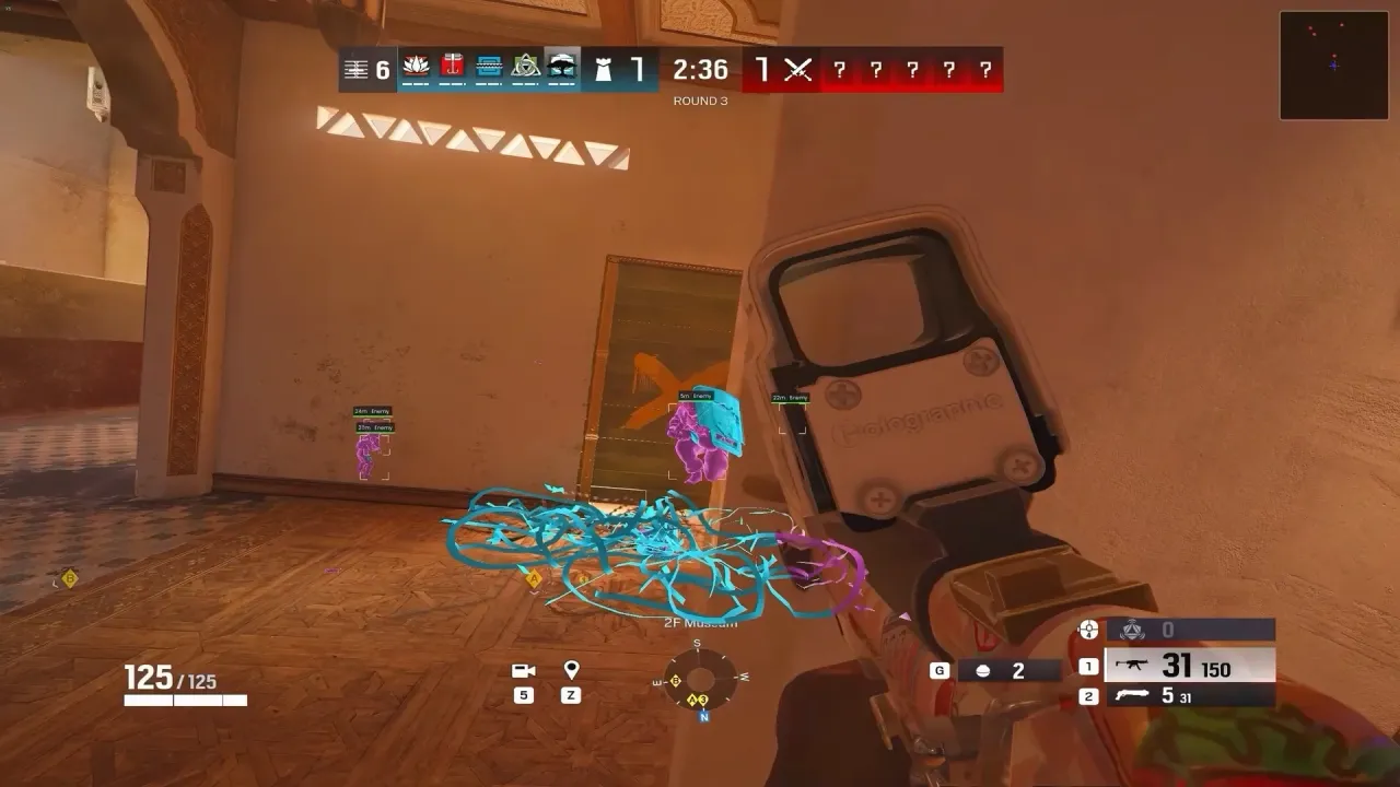 R6 - Fringe